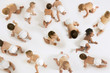 Large Group of Babies, montage