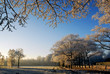 winter landscape in holland