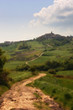 Colline pugliesi a primavera Colline pugliesi a primavera