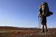 Hiker on the Kungsleden