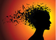 Woman portrait silhouette with notes Woman portrait silhouette with notes