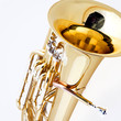Brass Tuba Euphonium Isolated  on White