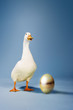 Foto: Goose standing beside golden egg, studio shot Goose standing beside golden egg, studio shot