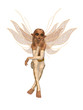 Sitting Fairy Sitting Fairy
