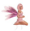 Pink Fairy Pink Fairy