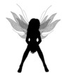 Fairy Silhouette