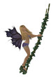 Blonde Fairy