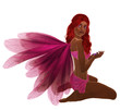 Pink Fairy