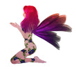 Rainbow Flower Fairy Rainbow Flower Fairy