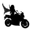 Fairy Silhouette