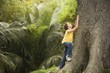 Boy Climbing Large Tree