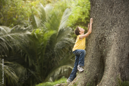 Photo: Boy Climbing Large Tree Boy Climbing Large Tree