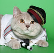 Cat the policeman. Cat the policeman.