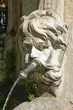 fontaine tête humaine