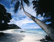 Motorboat on Tropical Beach