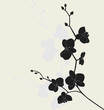 Stylized orchid branch, vector illustration Stylized orchid branch, vector illustration