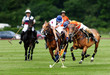 Image : PoloCup09