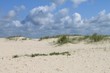 Dünenstrand 2