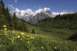 Bergfrühling; Eiger, Moench und Jungfrau