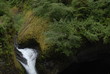 Punch Bowl