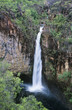 Australia, Queensland, Waterfall in rainforest