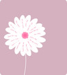 loves me, loves me not, loves me... loves me, loves me not, loves me...