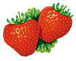 Zwei Erdbeeren