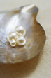 Foto: Four pearls in open oyster shell on beach, close up, elevated view Four pearls in open oyster shell on beach, close up, elevated view