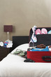 Open suitcase on bed