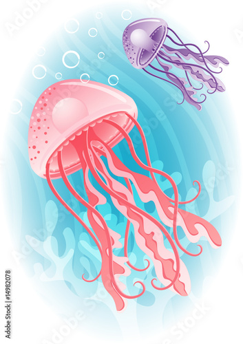 Vector: jellyfish jellyfish