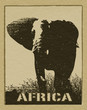 African poster