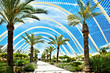 Beautiful parkway with palms and bushes