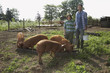 Father and son 7-9 with pigs in sty, portrait