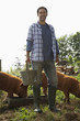 Man feeding pigs in sty, portrait