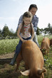 Father helping daughter 5-6 to ride pig in sty