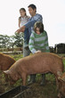 Father and children 5-9 watching pigs feed in sty
