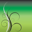 herbe