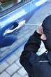 Car thief
