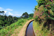 Levada fleurie à Madère