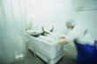 Yellowfin tuna being processed for export, Cairns, Australia