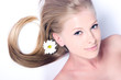 Camomile flower and girl