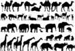 african animals silhouettes
