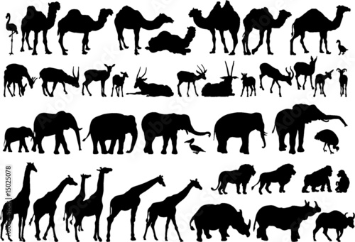 african animals silhouettes