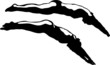 Divers