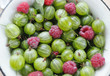 Gooseberry and raspberry on white plate