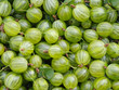 Gooseberry