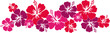 Hawaiiblumen rot (Bordüre)