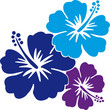 Hawaiiblumen blau