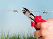 Photo: Escape through barbed wire Escape through barbed wire