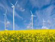 Windenergie